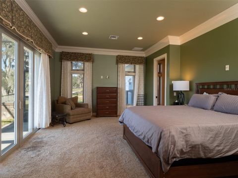 Tiny photo for 9001 NW 200th Street Road, Micanopy, FL 32667 (MLS # OM691308)