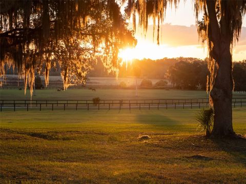 Tiny photo for 9001 NW 200th Street Road, Micanopy, FL 32667 (MLS # OM691308)