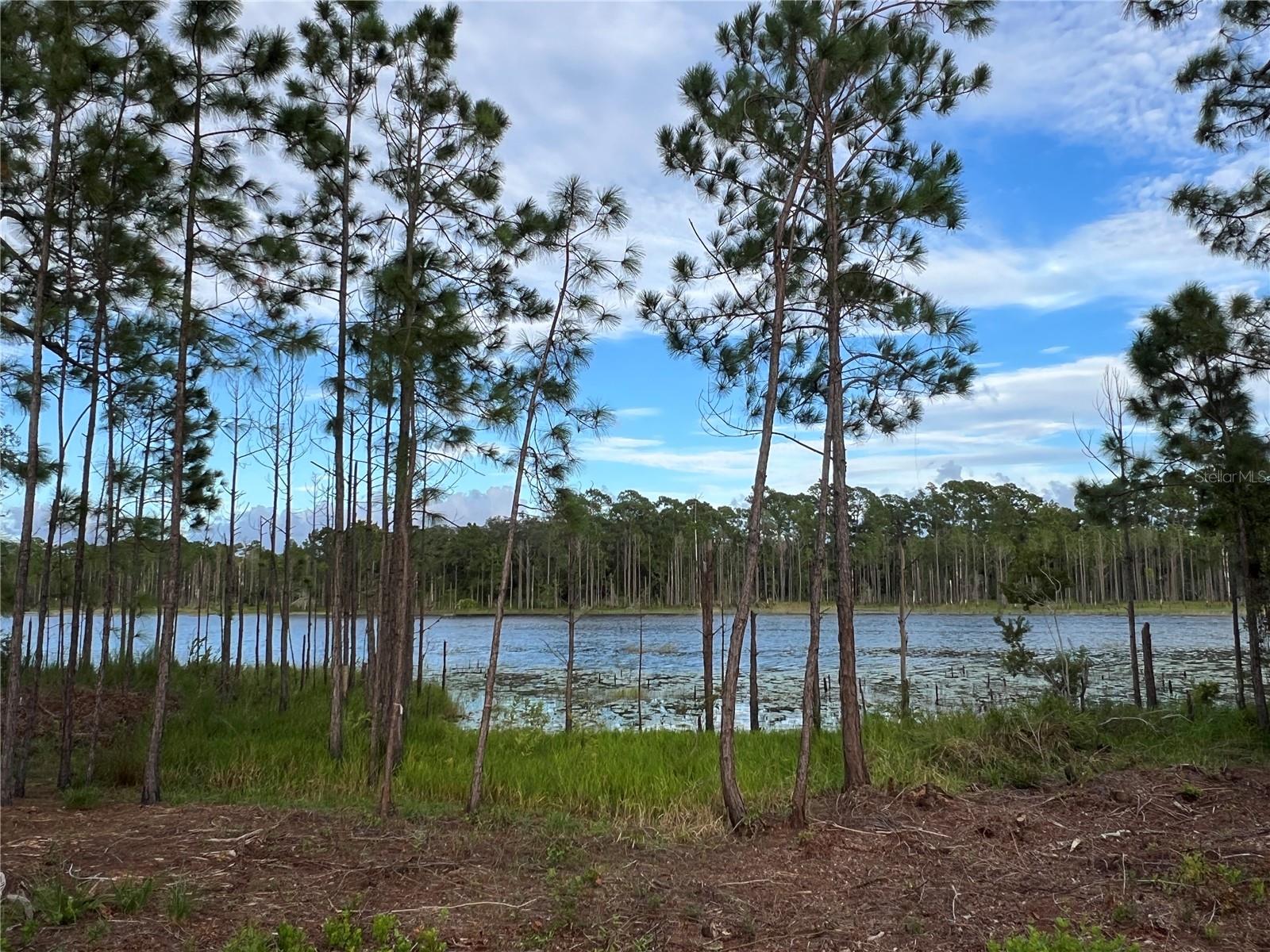 DELTONA LAKES UNIT 59 - Residential