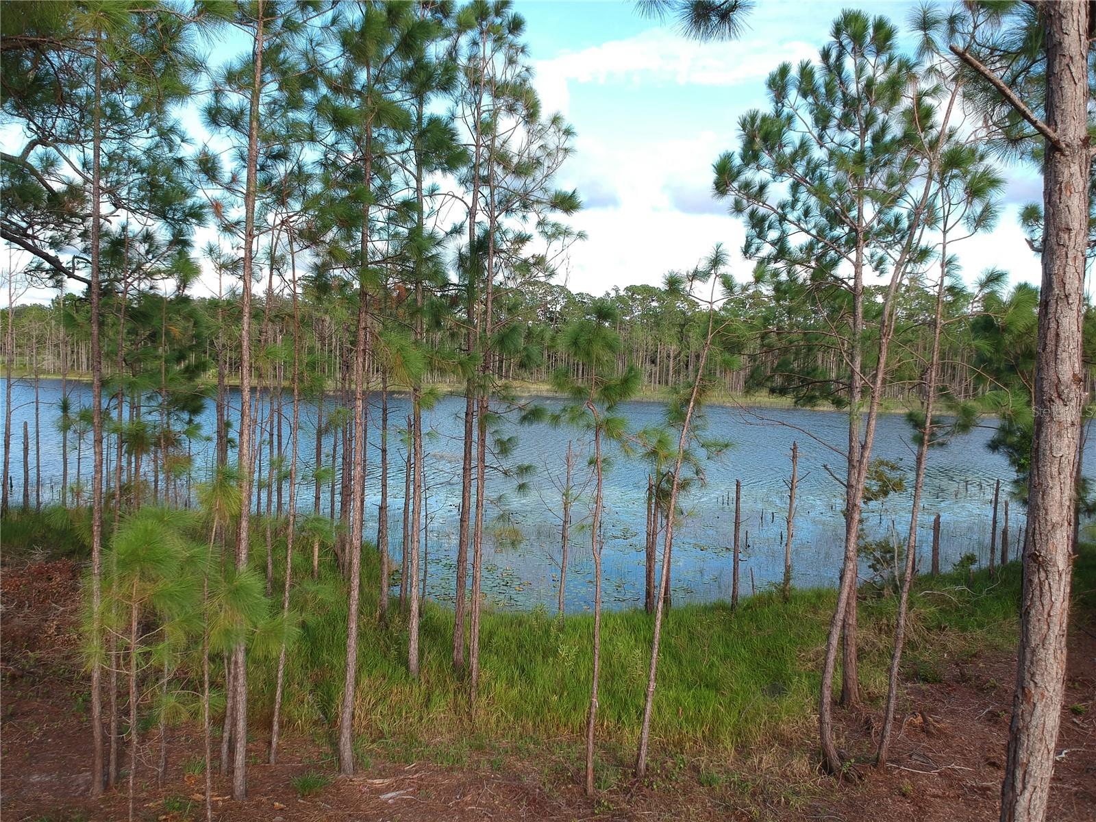 DELTONA LAKES UNIT 59 - Residential