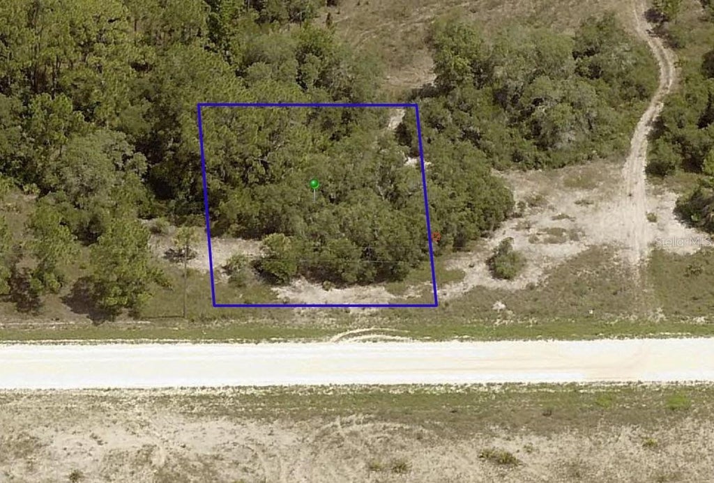 Photo of 406 Jack Weisser Boulevard, Lake Placid, FL 33852 (MLS # O6452033)