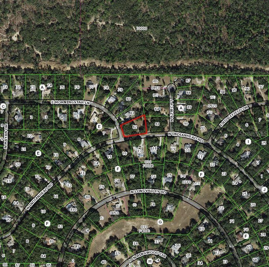 Photo of 1085 E Morningstar Lane, Hernando, FL 34442 (MLS # TB8471203)