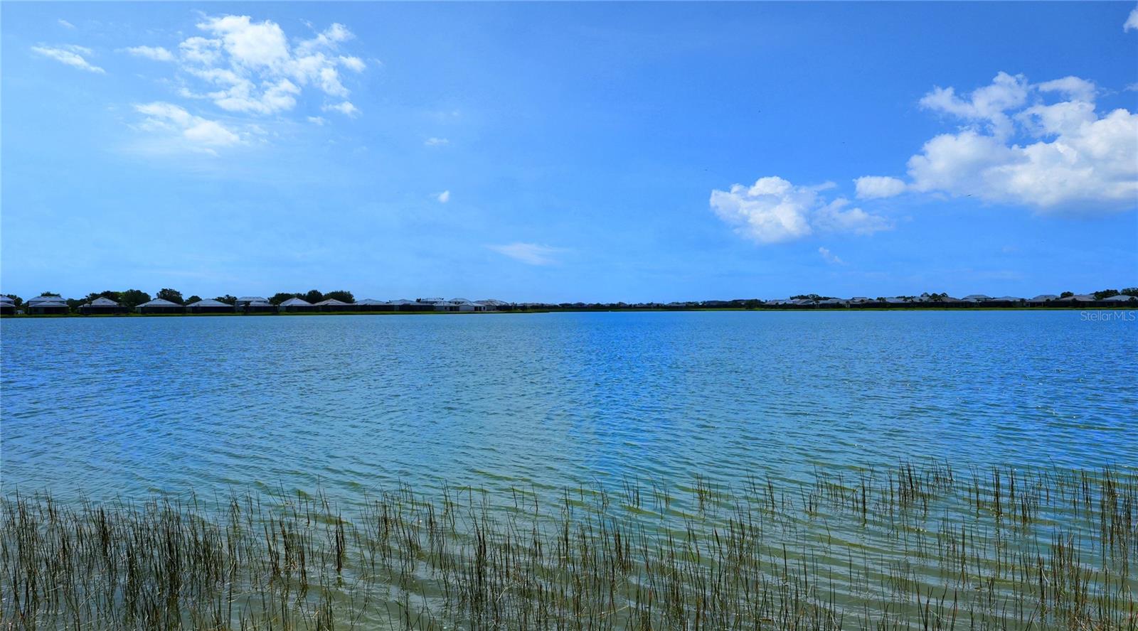 SHOREVIEW/LAKEWOOD RANCH WATER - Residential