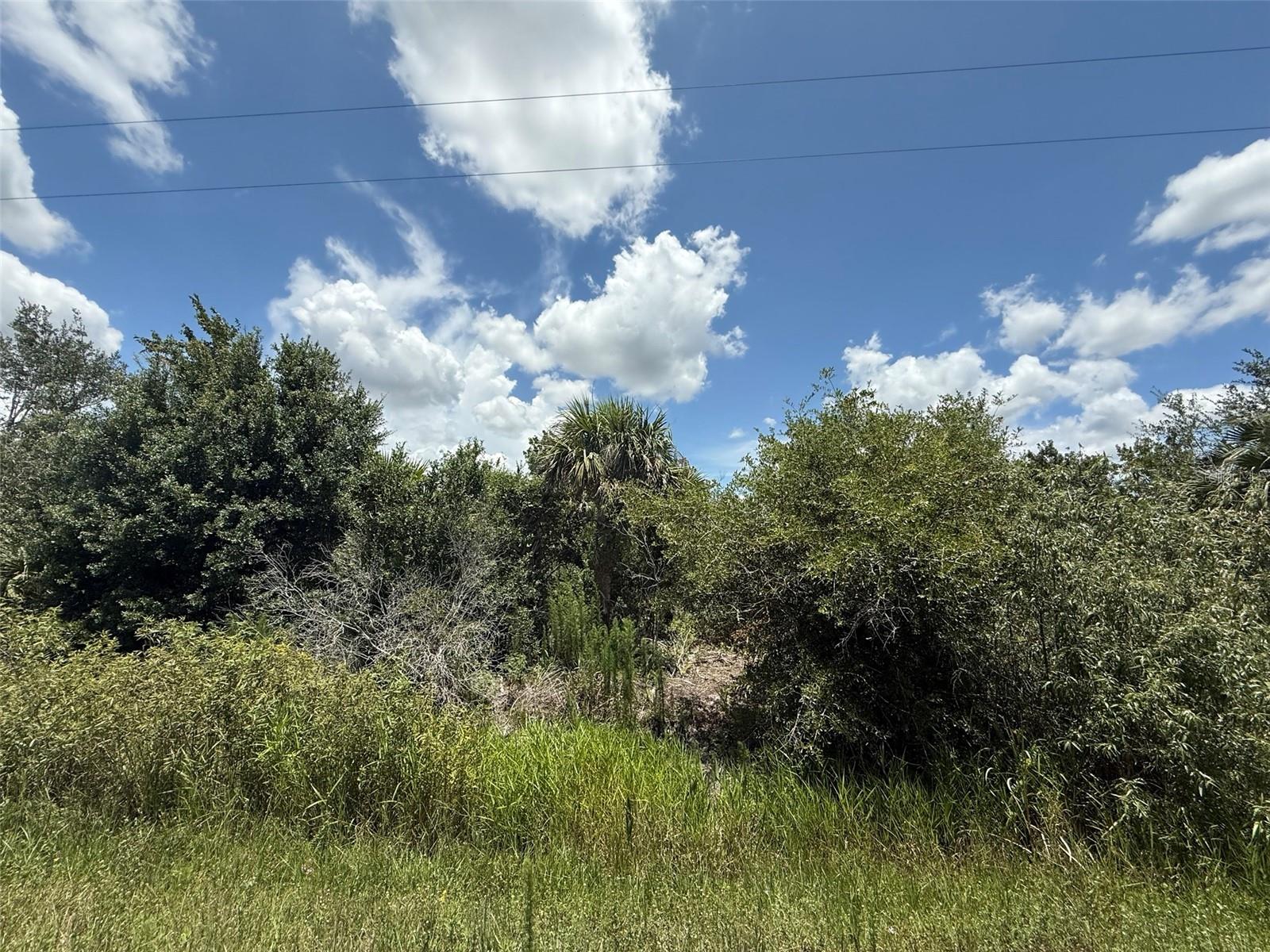 Don't miss this exceptional opportunity to own 2.50 acres of versatile land! just off of the main paved road but yet still private. So much to enjoy in Okeechobee County. Come to The Kissimmee River Preserve State Park West of this area as well is the Kissimmee River. The Kissimmee River flows into Lake Okeechobee and is well known for some of the best fishing. whether you like Fishing, hunting, mudding agriculture or just privacy here you have it all.