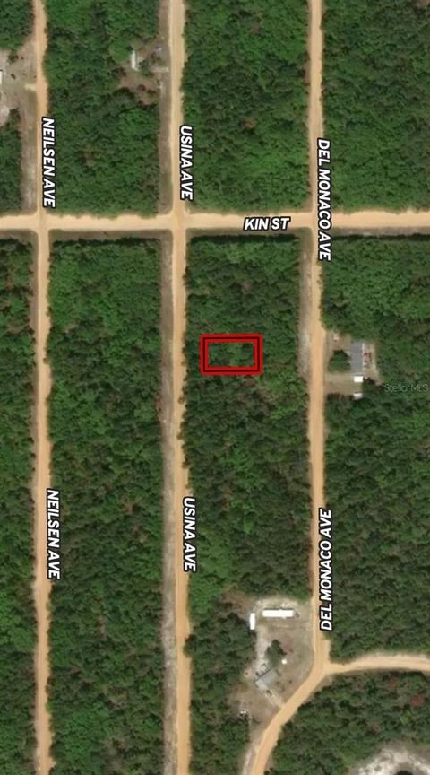 LOT 4 USINA AVENUE INTERLACHEN FL 32148