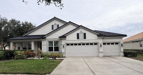 Photo of 10236 Estuary Drive, Tampa, FL 33647 (MLS # TB8531890)