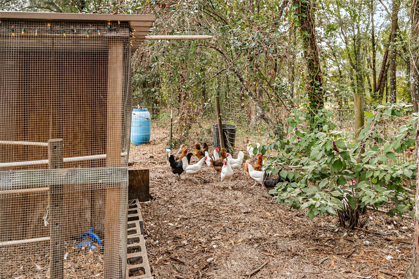 RIVER HEIGHTS ESTATE SMALL FARMS - Residential