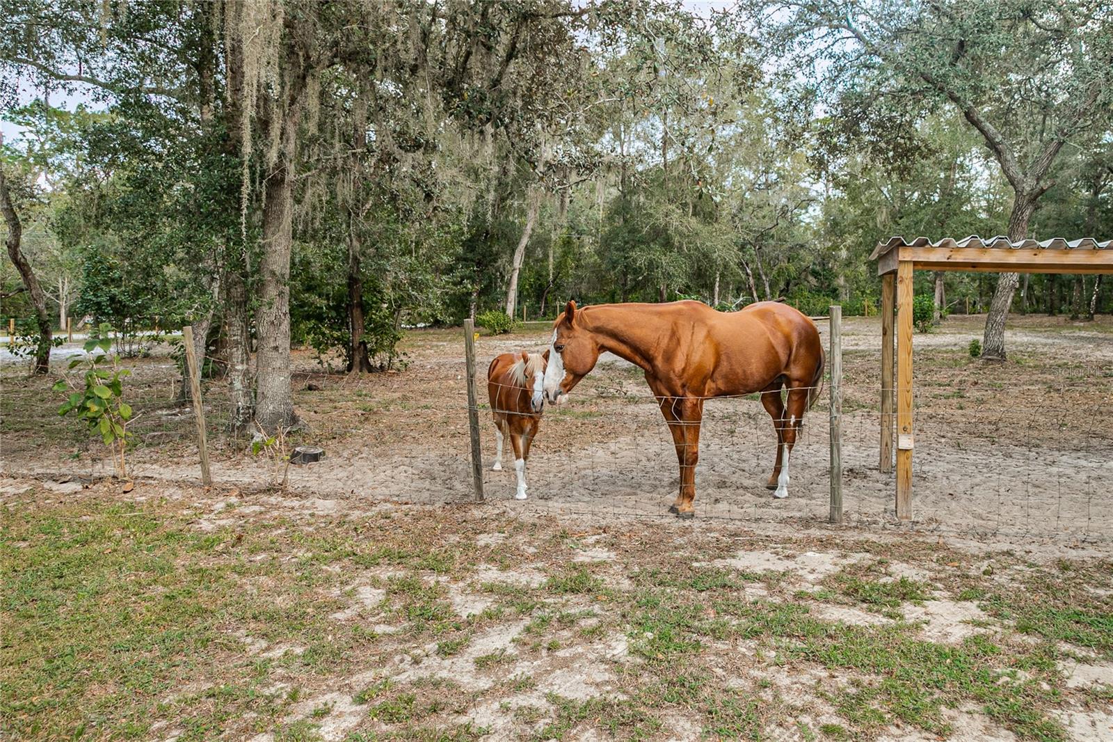 RIVER HEIGHTS ESTATE SMALL FARMS - Residential
