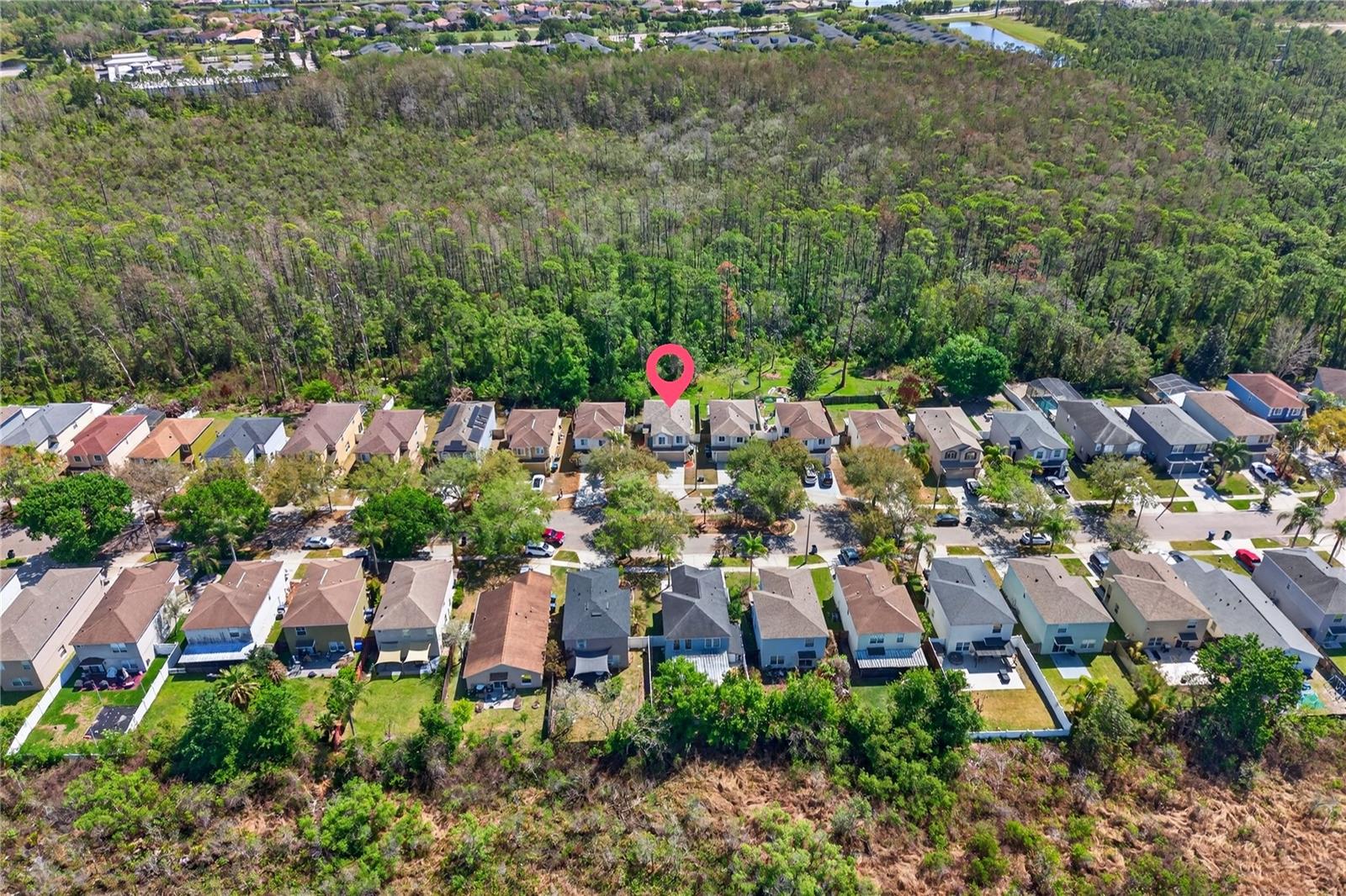 STONE FOREST - Residential