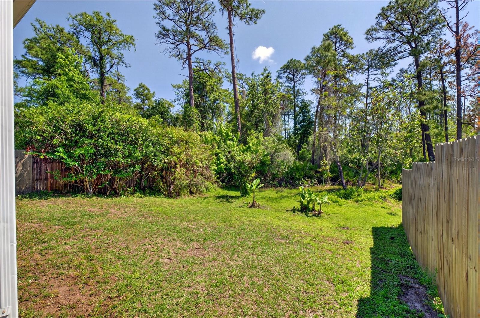 STONE FOREST - Residential
