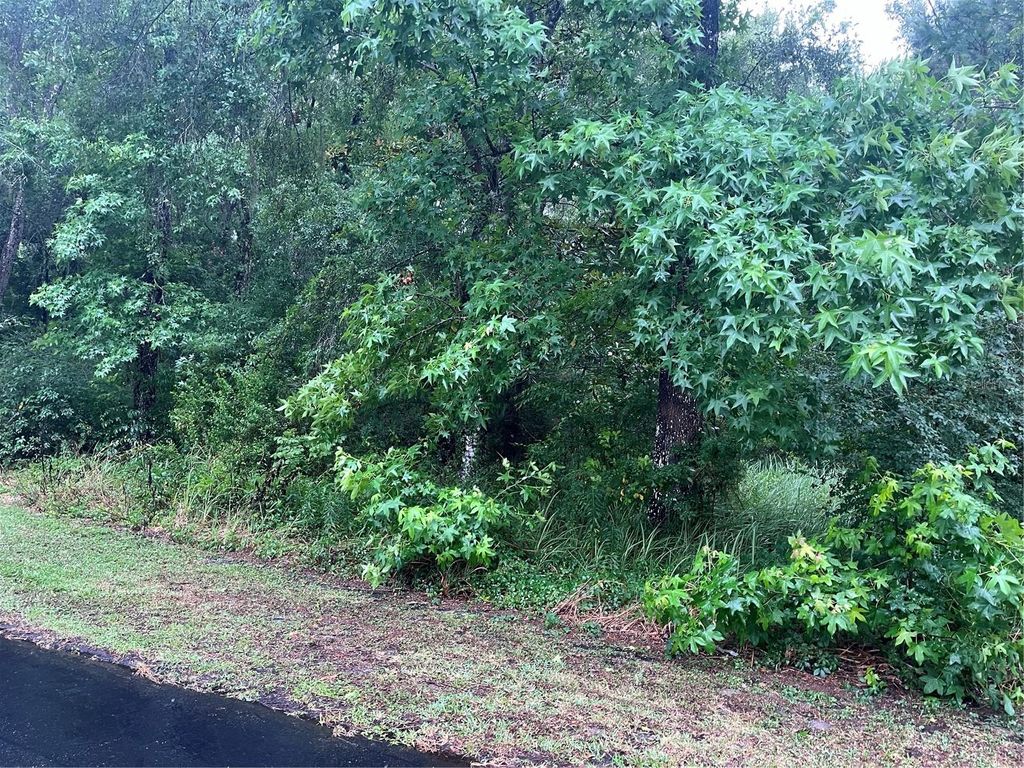 Photo of Sharon Street, Brooksville, FL 34601 (MLS # G5107291)