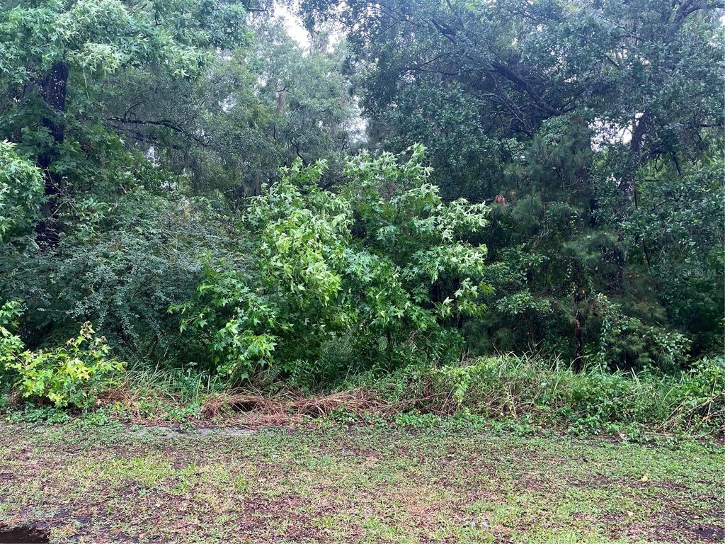 Photo of Sharon Street, Brooksville, FL 34601 (MLS # G5107291)