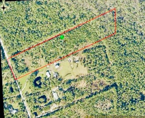 153 OLD BUBBLY ROAD PIERSON FL 32180