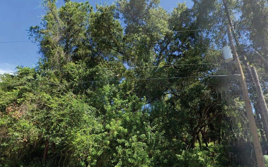 Prime lot in North Port ready for your dream home! With no HOA, no deed restrictions, and no flood zone, this lot offers flexibility and peace of mind. Located in a growing area with new construction, excellent schools, and close to shopping, dining, and medical services. Quick access to I-75 makes commuting easy, and nearby Gulf Coast beaches and recreation add to the appeal. Perfect for homeowners or investors looking for a high-potential property. All information is deemed reliable but should be independently verified.