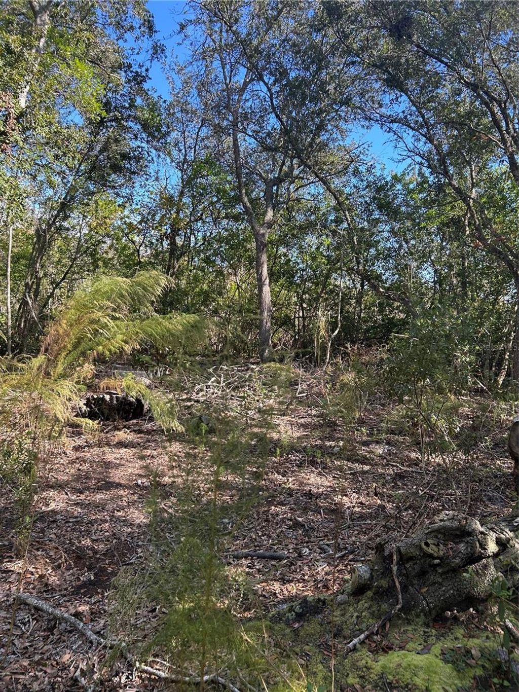 Photo of 7740 E Smoke Trail, Inverness, FL 34453 (MLS # W7881004)