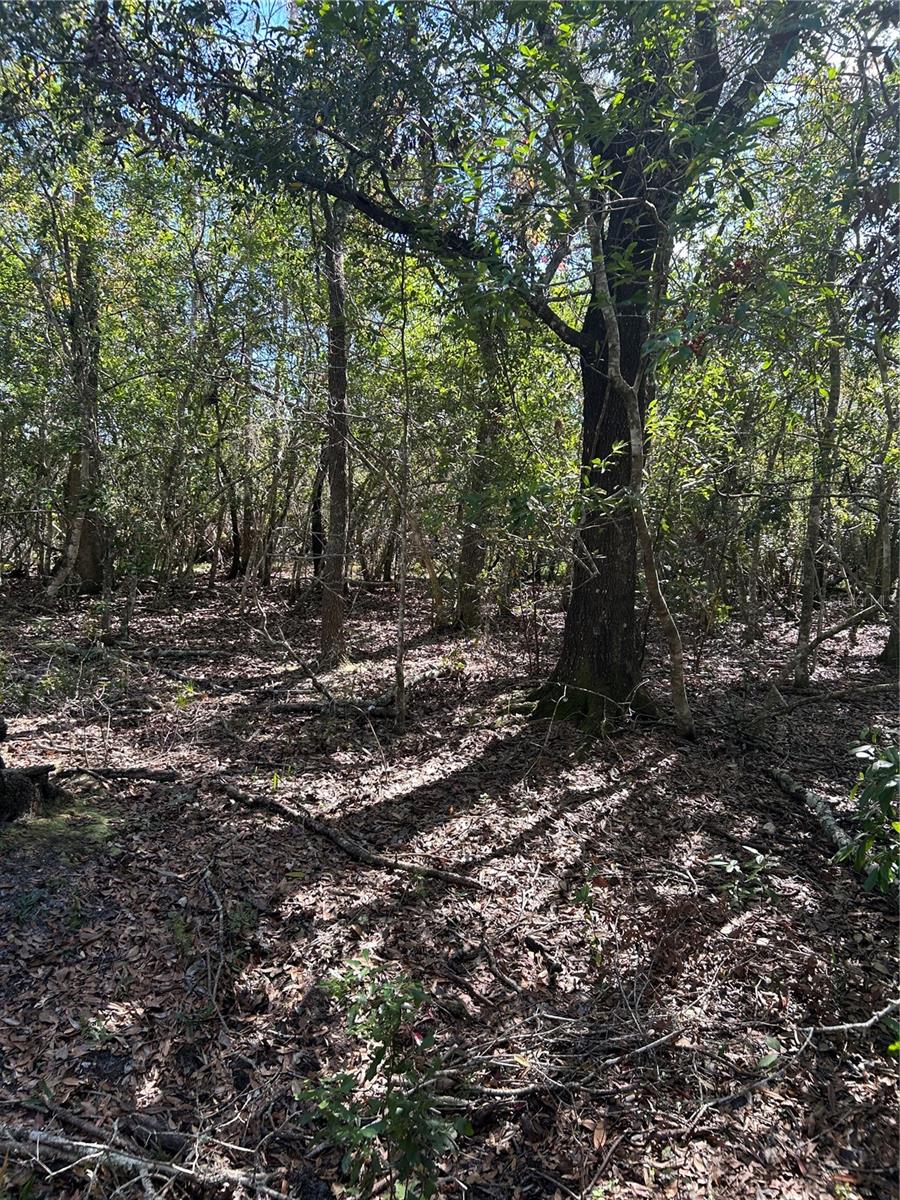 DE BUSK UNREC - Land