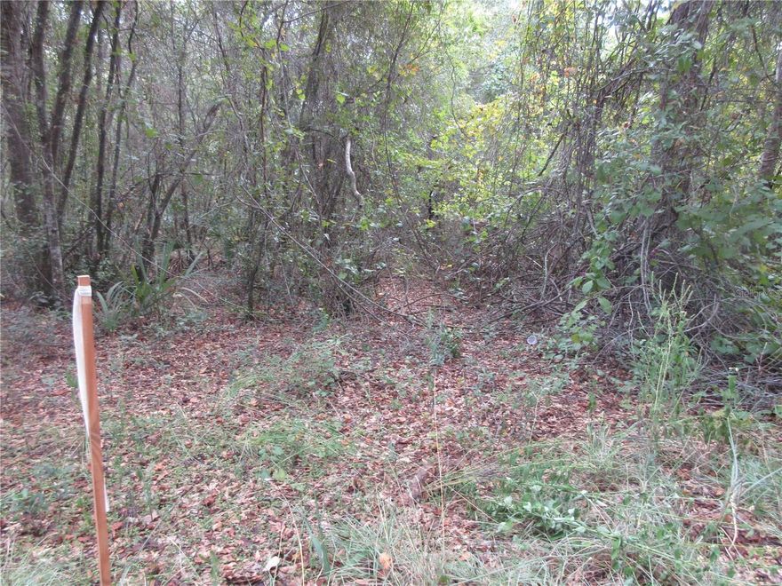 Semi-Secluded quiet .57 acre wooded lot located just 900 feet away from the Ocala National Forest, Zoned R4 for either a mobile home, stick built, or concrete block home. No HOA! If you need an extra large lot for your home, garages, and toys, this is it! The lot dimensions are 100x250. The lot is 900 feet down a sparsely populated dirt road with three different entrances. A great buy at just $25,000. Also, if you need more land, the adjoining lot 53 (OM710321) is also available. It's the same size .57 acres (100x250). Both lots would give you  well over 1 acre (1.15 acres). More good news! If you buy both lots simultaneously, the sellers will give you a huge $10,000 price discount. You can have both lots for a total price of $40,000. The vacant lot is located in the Ocala National Forest, which affords you almost a ½ million acres of forest to roam, 600 lakes, 2 rivers; Juniper Springs, Silver Glen Springs, Salt Springs, swimming, skiing, Big BASS Fishing, Boating, Camping, Hiking, Horse back riding and some of the best ATV riding anywhere. Daytona Beach is just 1 hour away. Let the fun begin! You need it!