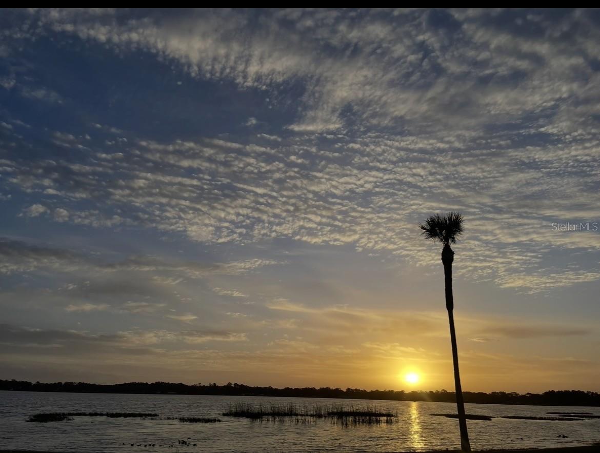 SHELTER COVE - Residential