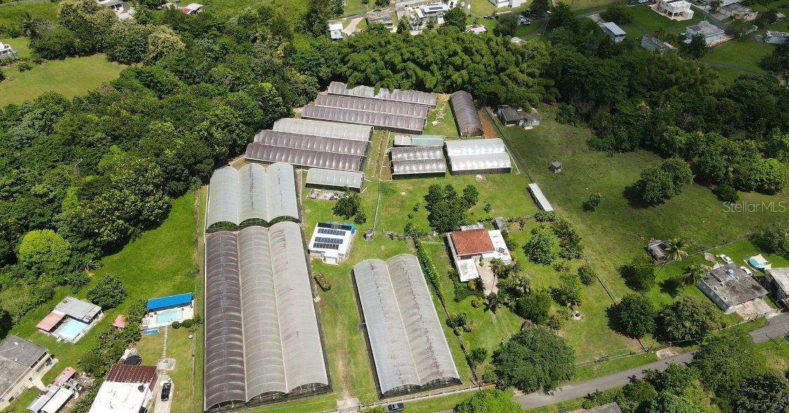 Carr. 137 km 9.9 BO. FRANQUES