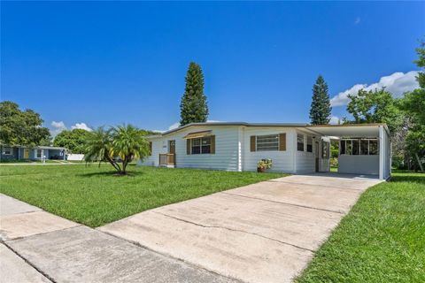 A home in DELTONA