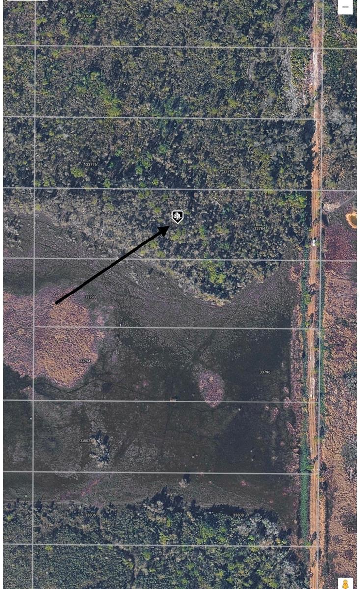 Photo of 33782 Oil Well Road, Punta Gorda, FL 33955 (MLS # O6443595)