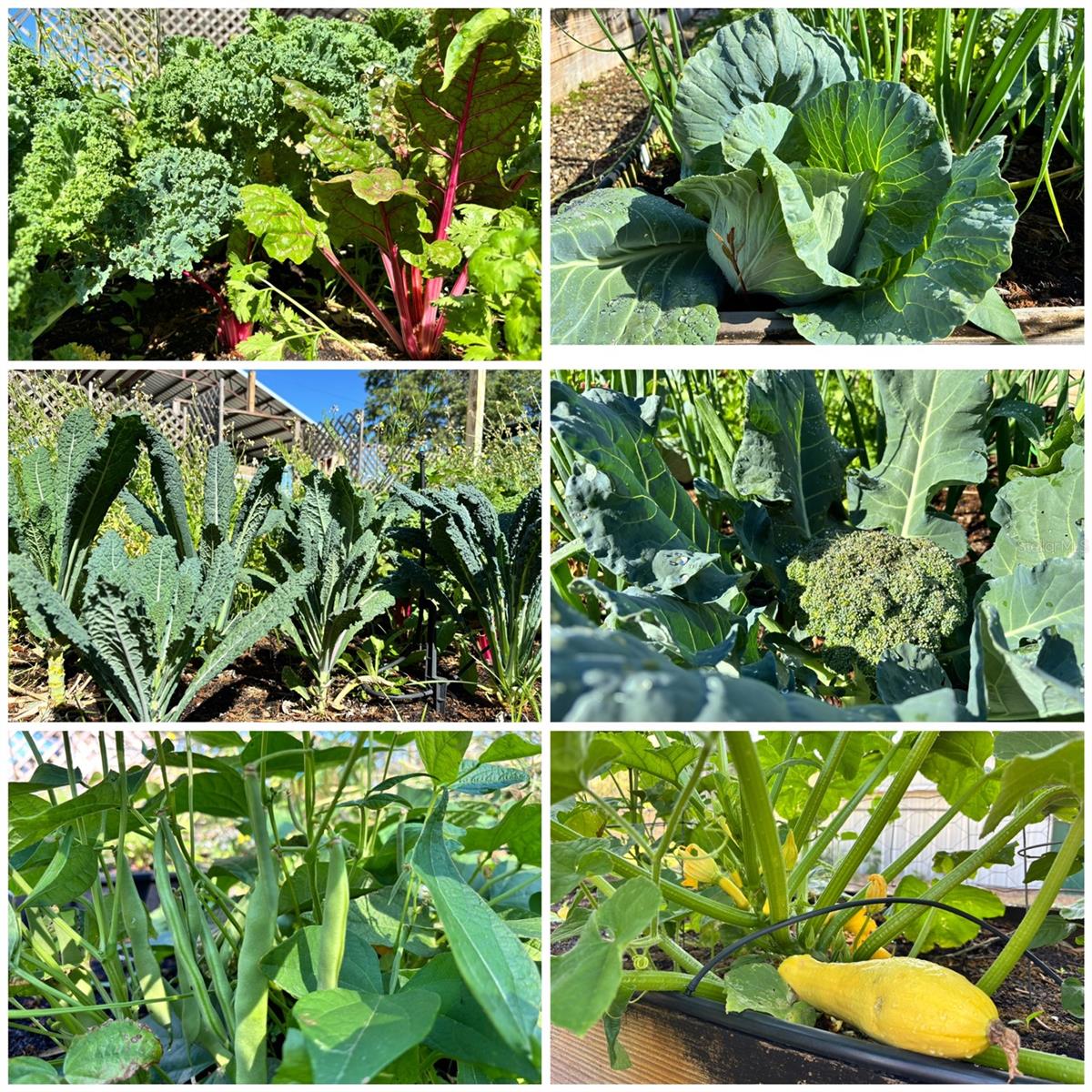 MINI FARMS NORTHWEST - Residential