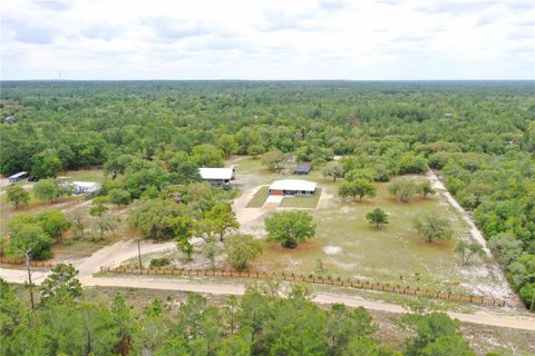 Tiny photo for 6254 W Peking Court, Dunnellon, FL 34433 (MLS # OM723427)
