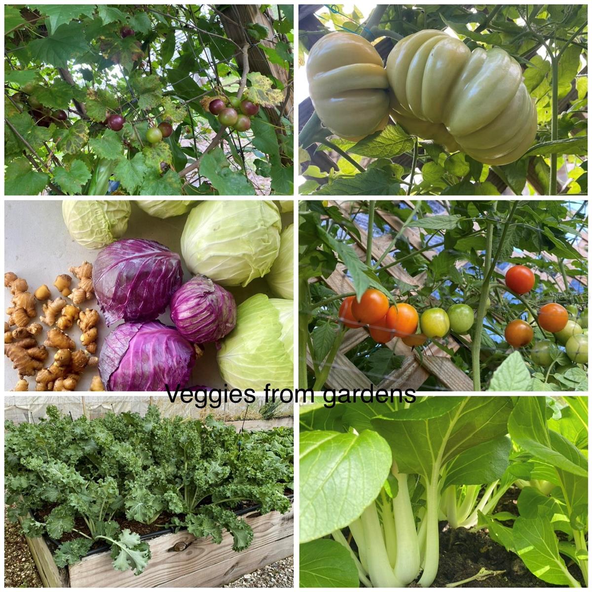 MINI FARMS NORTHWEST - Residential