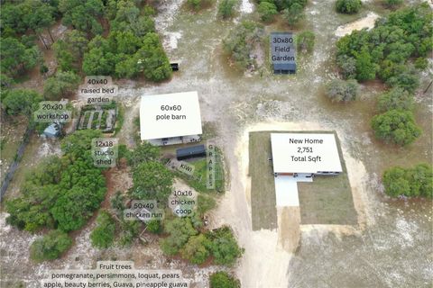 Tiny photo for 6254 W Peking Court, Dunnellon, FL 34433 (MLS # OM723427)