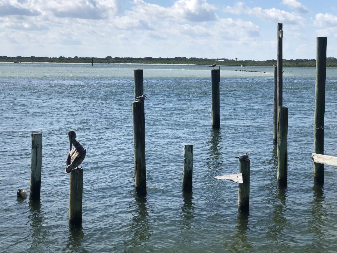 LAS OLAS PH 01 & 02 - Land