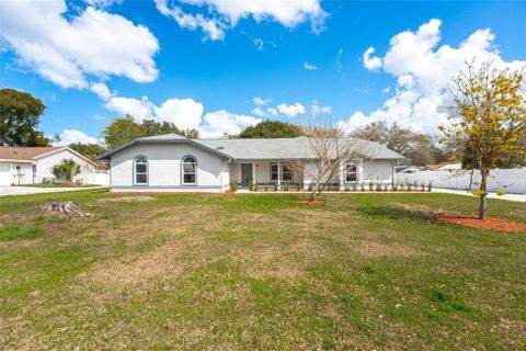 Photo of 5521 Oak Street, Mount Dora, FL 32757 (MLS # S5145286)