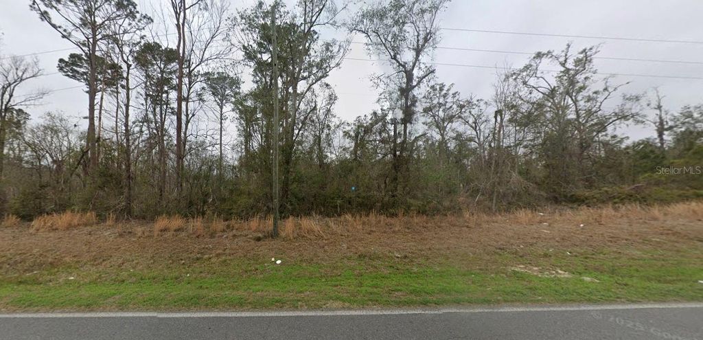 Photo of 450 SW Cr 360a, Madison, FL 32340 (MLS # A4667521)