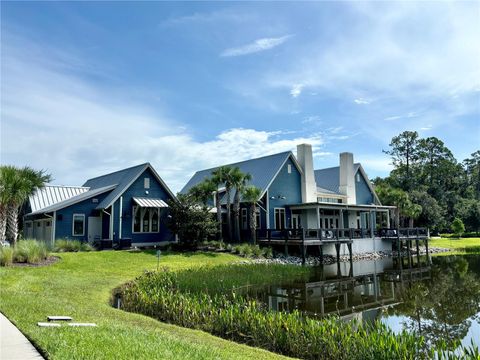 A home in LAND O LAKES