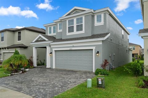 A home in LAND O LAKES