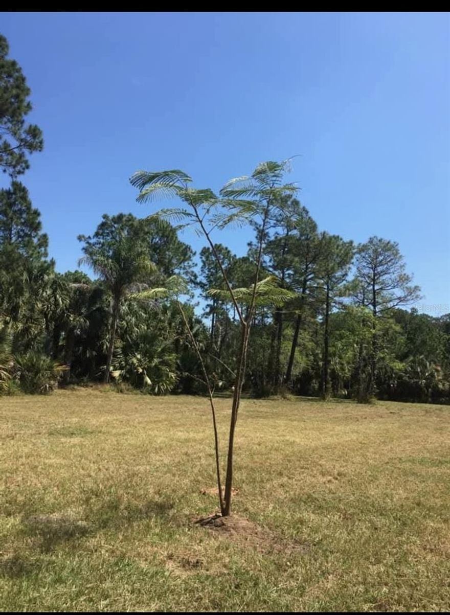 Discover Your Dream Oasis in Happy Trails! ??
Location, location, location! Imagine waking up every day in a serene, gated community where your investment not only holds value but thrives! Welcome to Happy Trails—a 5.98-acre haven that seamlessly blends the tranquility of rural living with unparalleled convenience.
Nestled close to Disney, ChampionsGate, and an array of shopping and dining options, this parcel offers you a slice of peaceful countryside while keeping you connected to the excitement of Kissimmee and Orlando. Your future dream home awaits in this idyllic setting, offering a private oasis just minutes from major highways like Hwy 429 and I-4.

?? Nature and Convenience, Perfectly Combined ??
Picture cultivating your own garden, raising chickens, or simply enjoying the local wildlife—from deer and turtles to a stunning array of birds—all within the confines of your expansive estate. This property is not just land; it's a doorway to a life where privacy, nature, and convenience meet.
Key Features:
Gated community with a country feel
Close proximity to Disney, ChampionsGate, and major highways
Ideal for building a custom home (no manufactured homes allowed)
Enjoy a secluded retreat with easy access to urban amenities
Low HOA dues and a beautiful equestrian neighborhood
Embrace the Florida dream by designing and building your perfect home on this exceptional lot. Whether it's your primary residence or a second home, this location offers unparalleled access to both coasts of Florida, major attractions, and the Orlando International Airport.
Don't miss this extraordinary opportunity to create your sanctuary in one of the most desirable locations. Visit Happy Trails today and start living the life you've always dreamed of!
? Your Future Begins Here ?
Seize the chance to own a piece of paradise where you can build your dream home amidst beautiful mature landscaping and enjoy the peaceful, quiet surroundings. Live the life you've always wanted in Happy Trails—your gateway to privacy, nature, and unparalleled convenience.