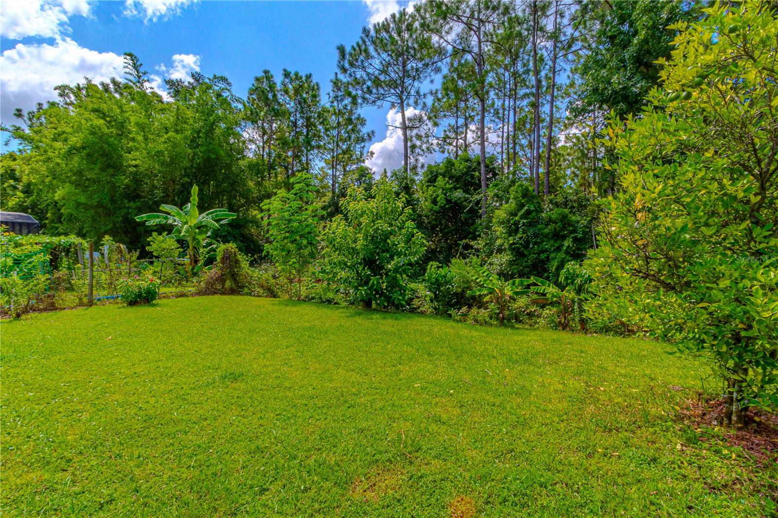 10462 WILLOW RIDGE LOOP