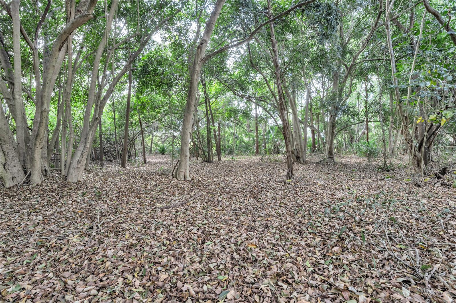 LOXAHATCHEE GROVES - Residential