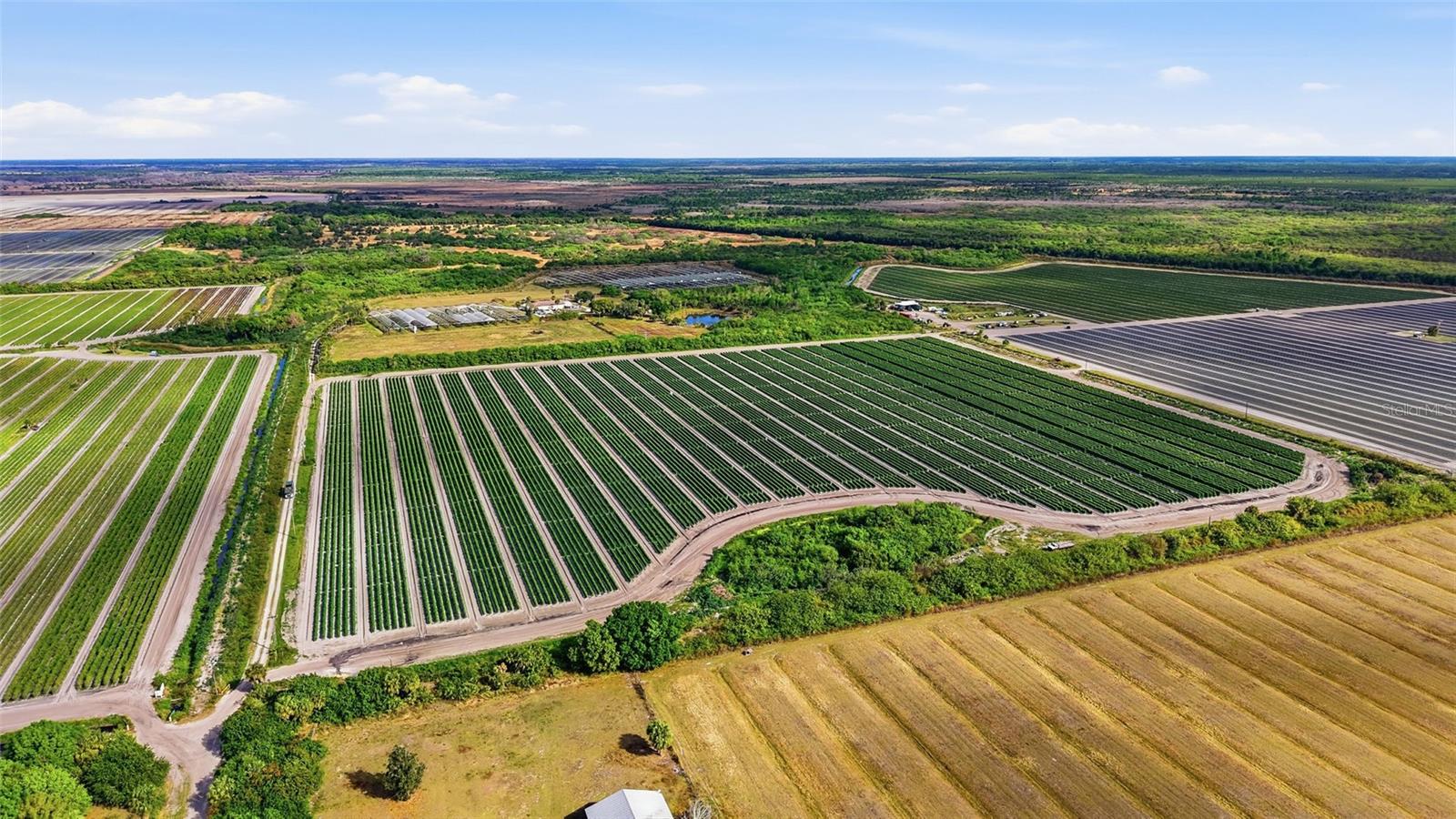 ACREAGE HEADER - Commercial Sale