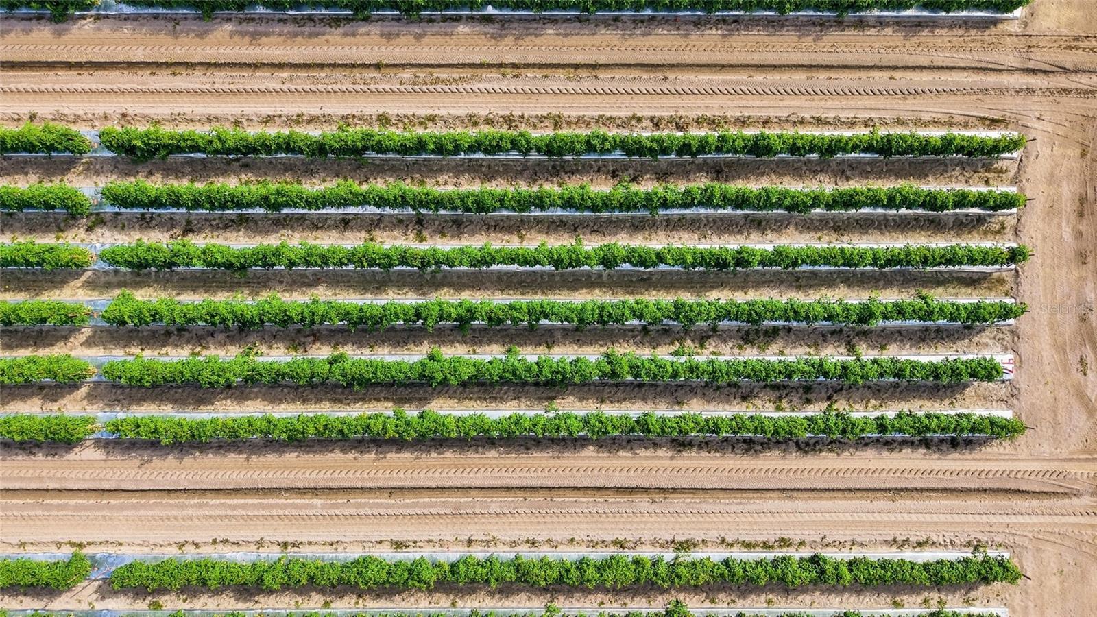 ACREAGE HEADER - Commercial Sale