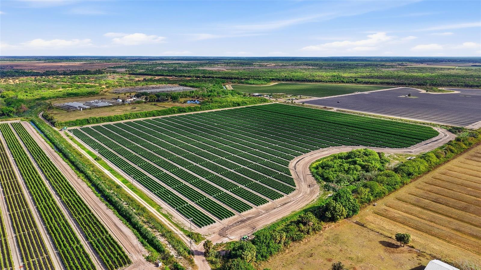 ACREAGE HEADER - Commercial Sale