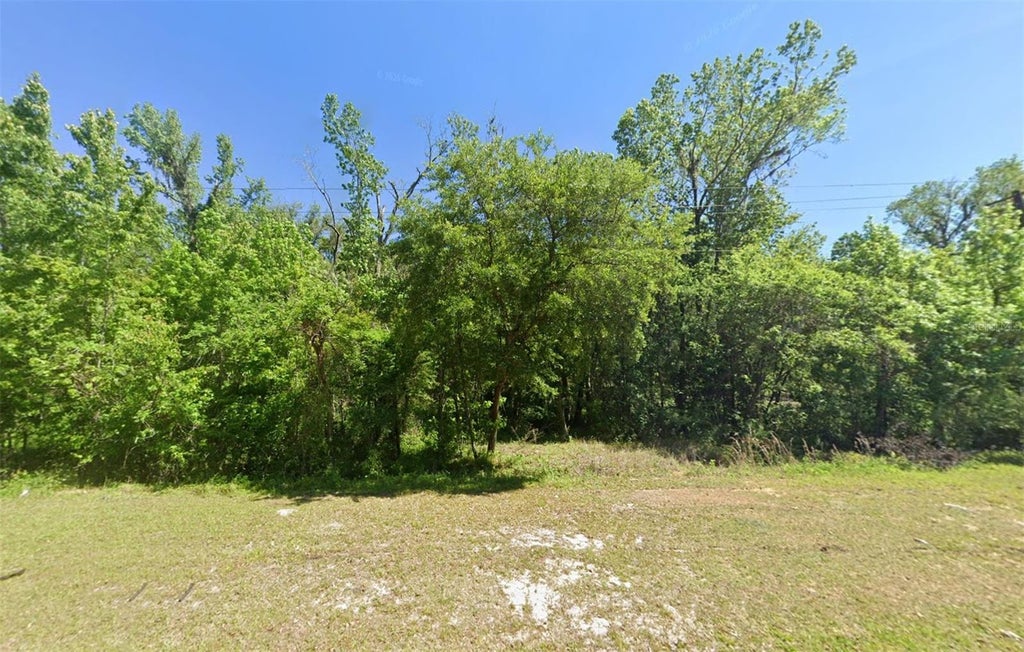 Photo of 33901 St Joe Road, Dade City, FL 33525 (MLS # A4709435)