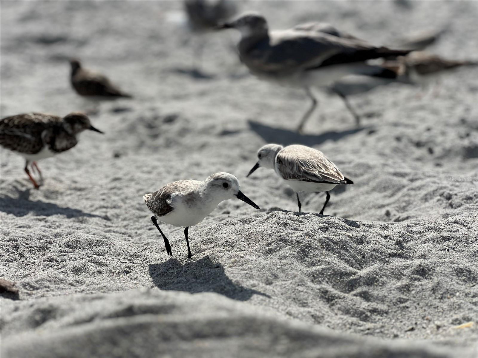 LIVE OAK LANDINGS PH 02 - Residential