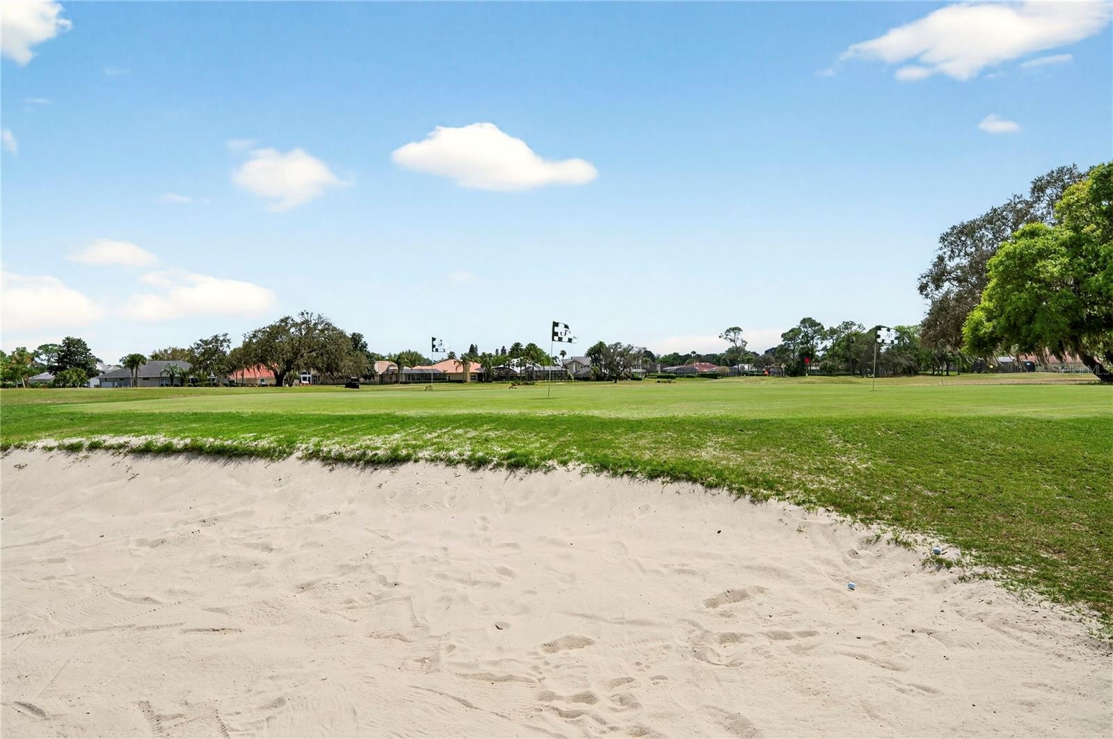 RESERVE AT SPRUCE CREEK UNIT 03D SEC 02 - Residential