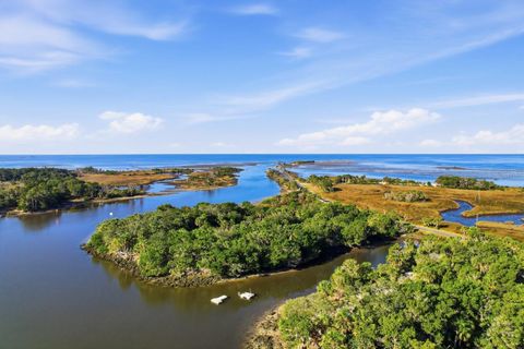 Tiny photo for 5 Palm Drive, Yankeetown, FL 34498 (MLS # TB8449771)