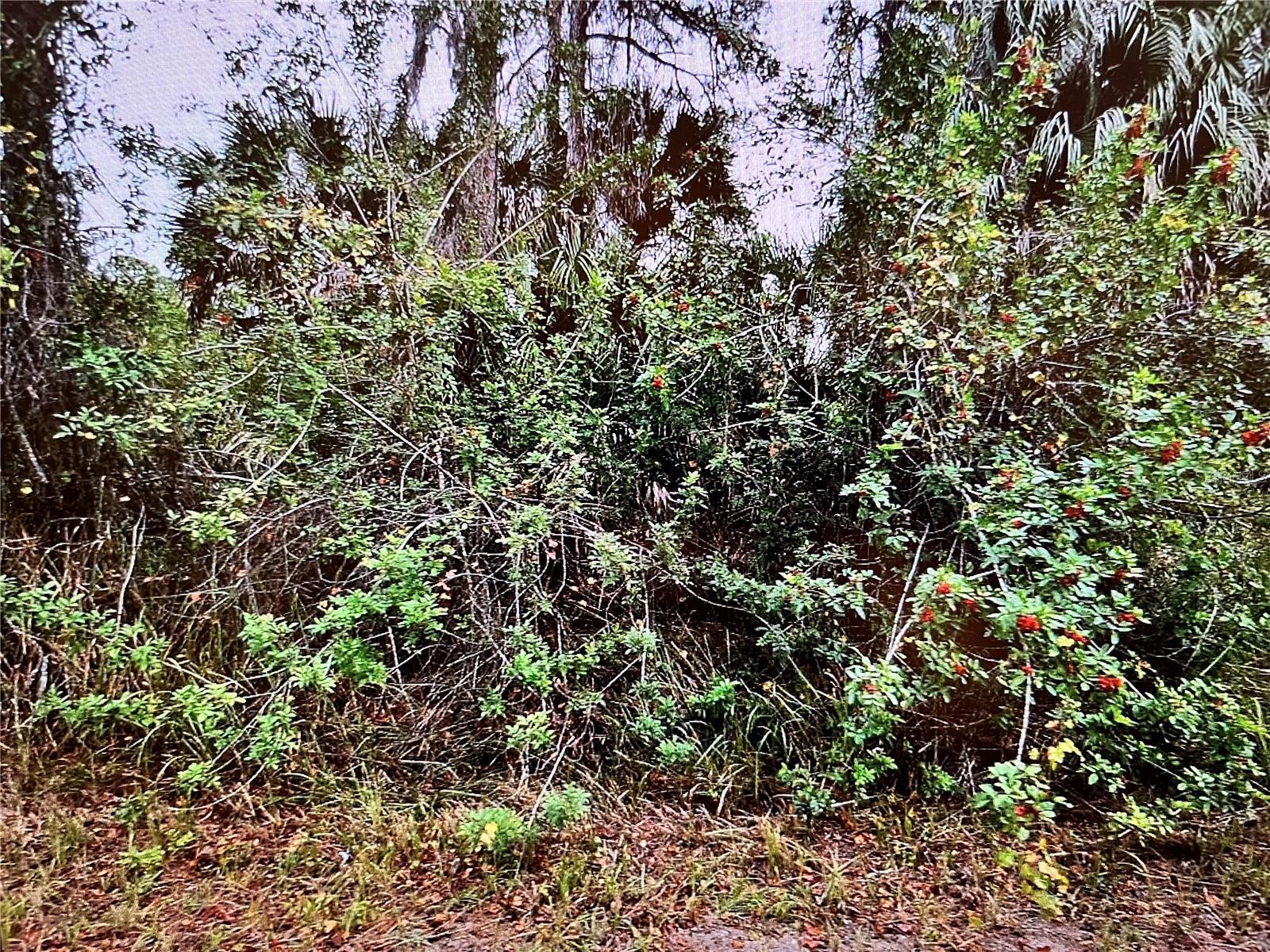 LOT 24 CAMPBELL STREET