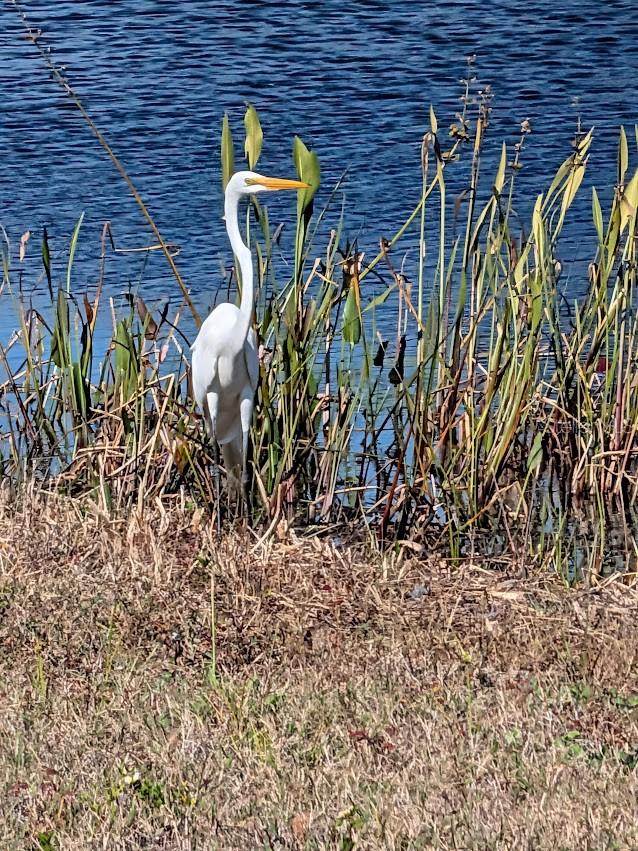 LONG LAKE RANCH VILLAGE 3, 6 PCLS A, - Residential