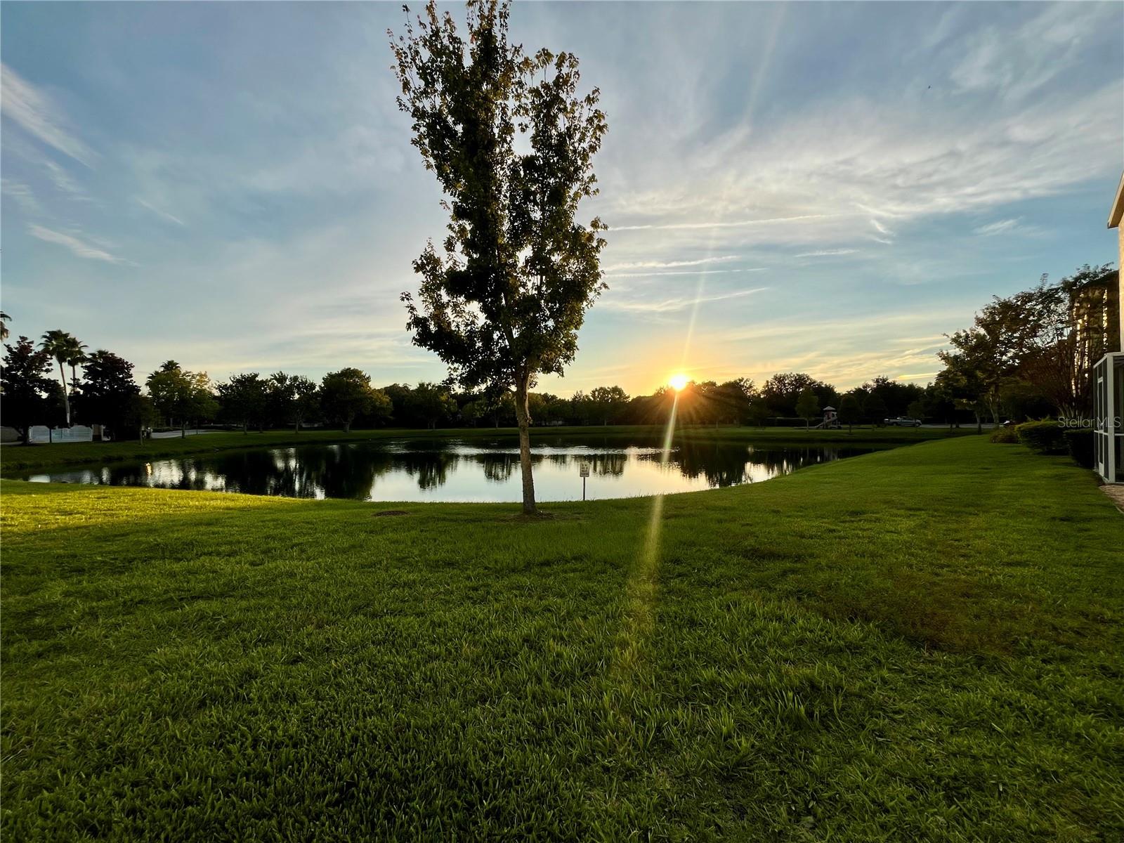 WALDEN WOODS REP - Residential Lease