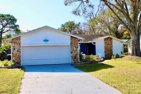 A home in LAKELAND