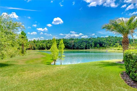 A home in WESLEY CHAPEL