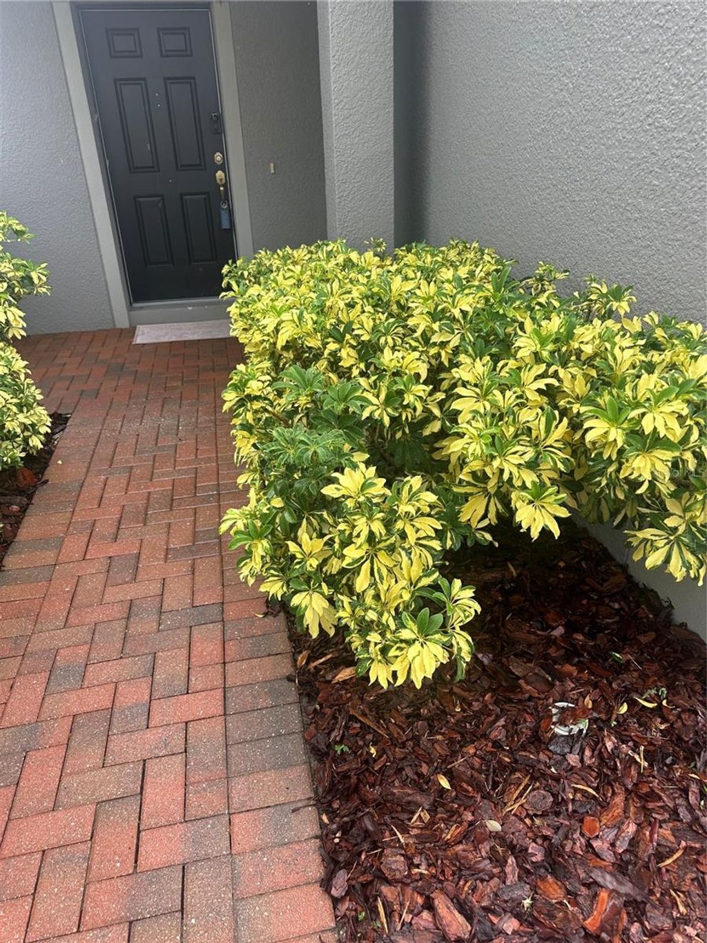 Photo of 19656 Long Lake Ranch Boulevard, Lutz, FL 33558 (MLS # TB8402224)